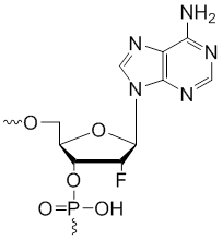 Unit Structure: 2'-Fluoro-adenosine